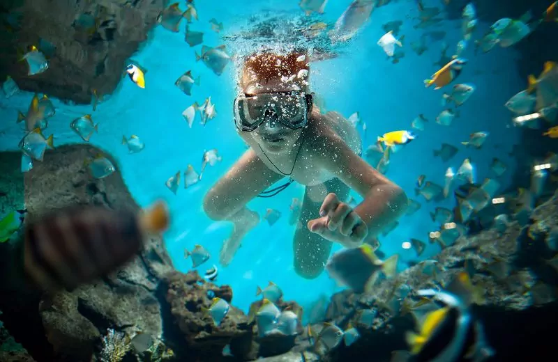Boy Diving in the water image.